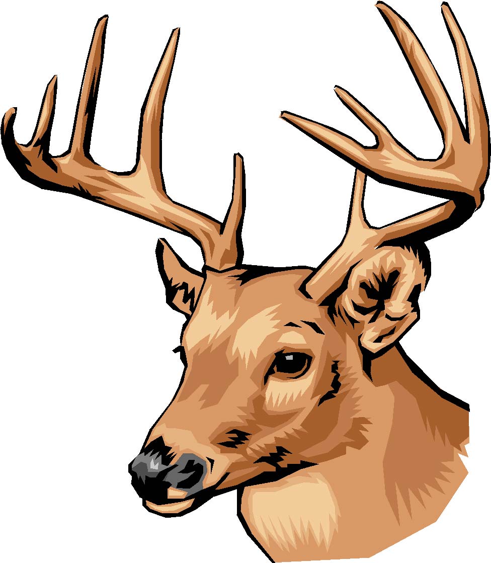 976x1119 Buck Clipart Wild