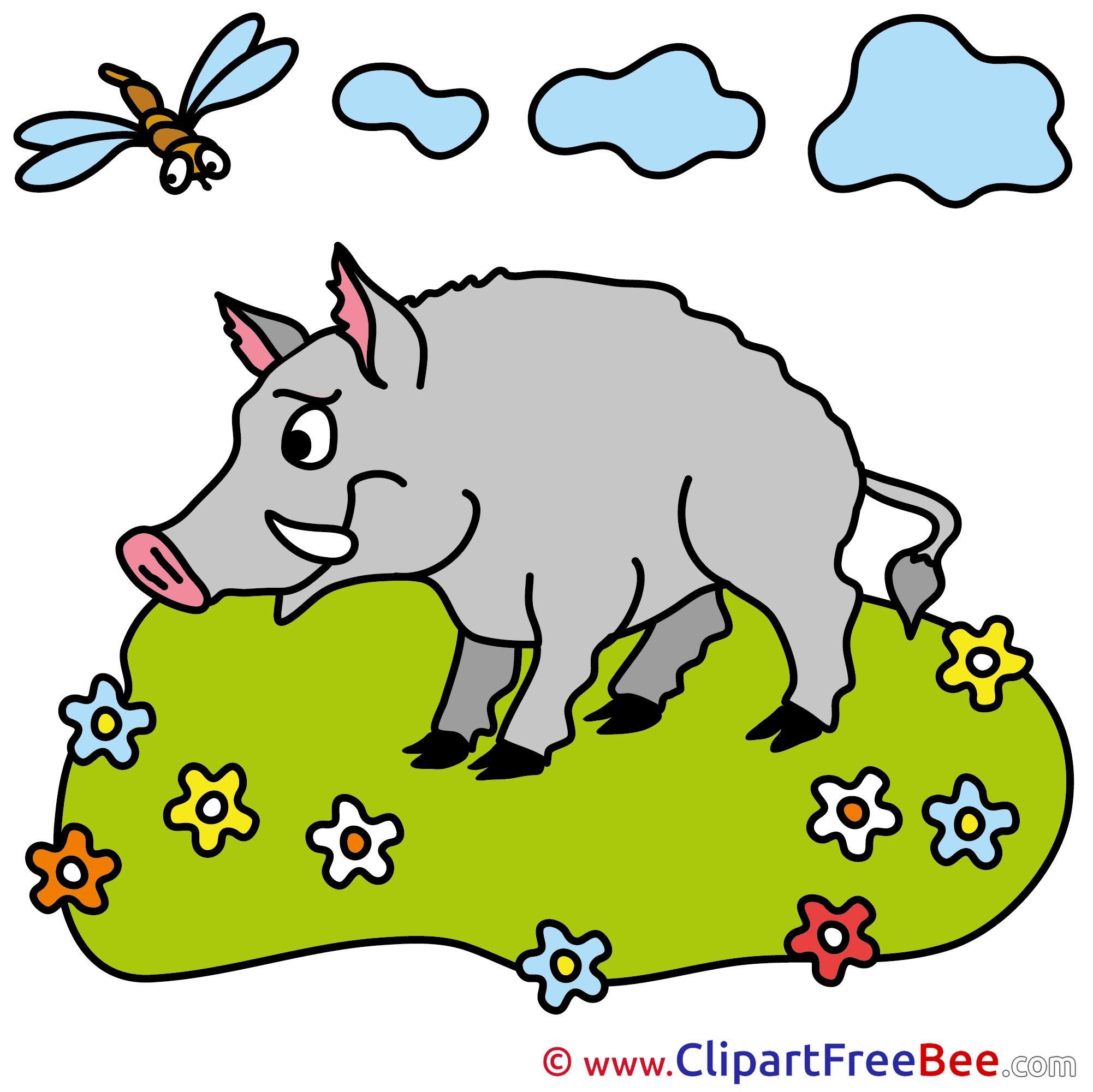 2002x2001 Dragonfly Wild Boar Pics Printable Cliparts