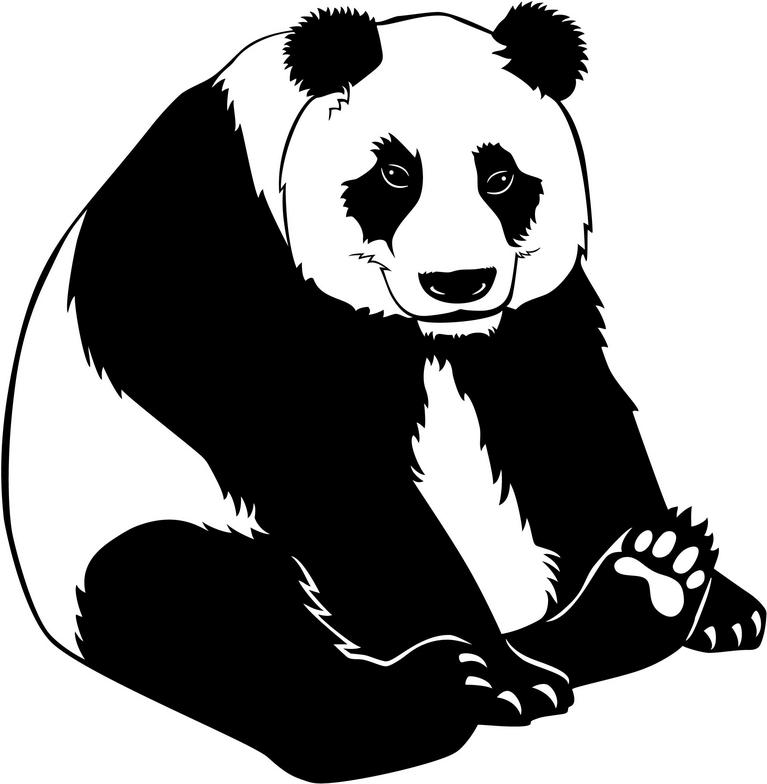 767x784 Top 86 Giant Panda Clip Art