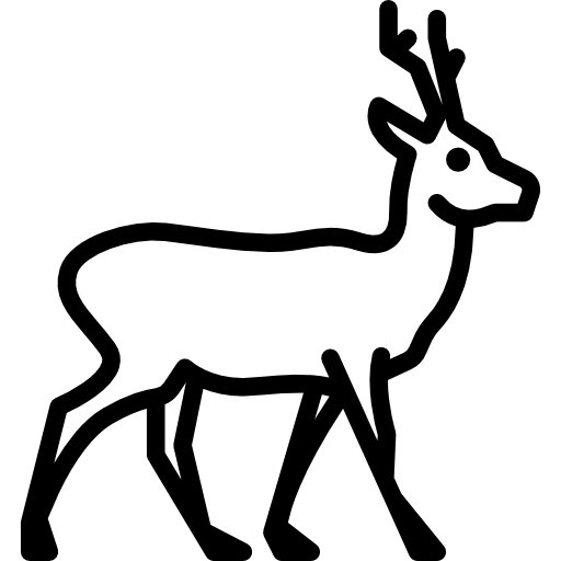 512x512 Animal Kingdom Clipart Forest Wildlife