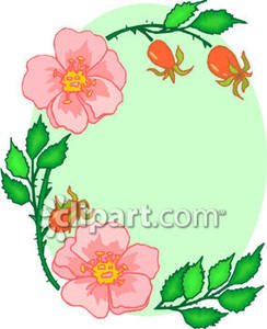 244x300 Rose Design