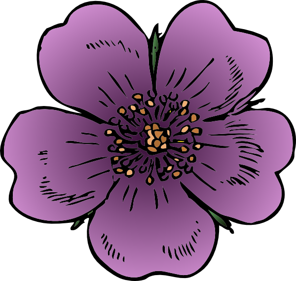 600x570 Wild Rose Png Clip Arts For Web