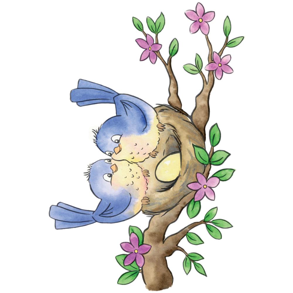 1000x1000 Wild Rose Studio