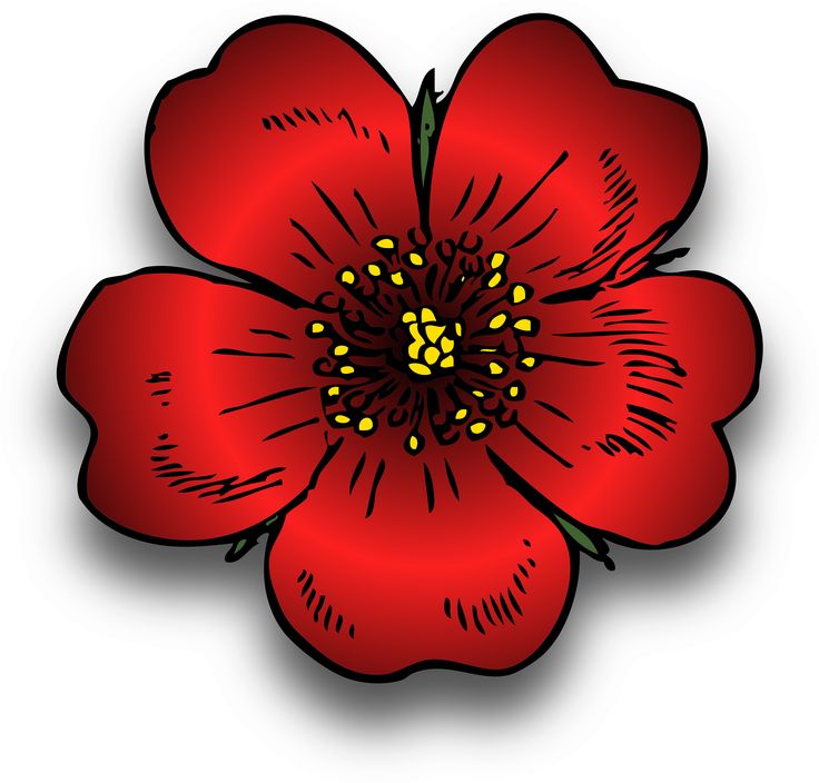 736x704 17 Best Clip Art Images Clip Art, Flowers