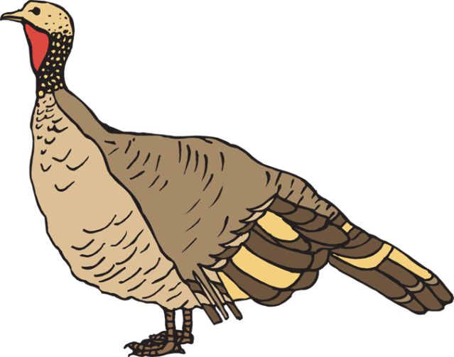 639x503 14 Best Clip Art Images Pictures, Autumn And Autumn