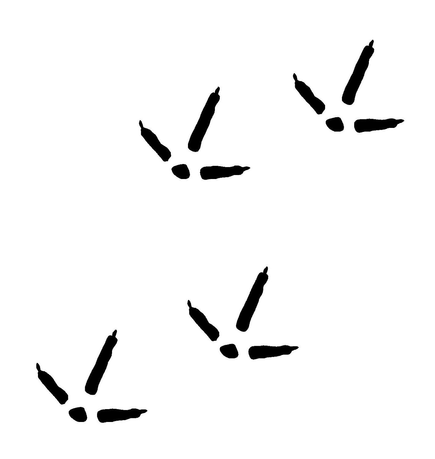 1421x1500 Best Hd Wild Turkey Tracks Clip Art Drawing Free Vector Art