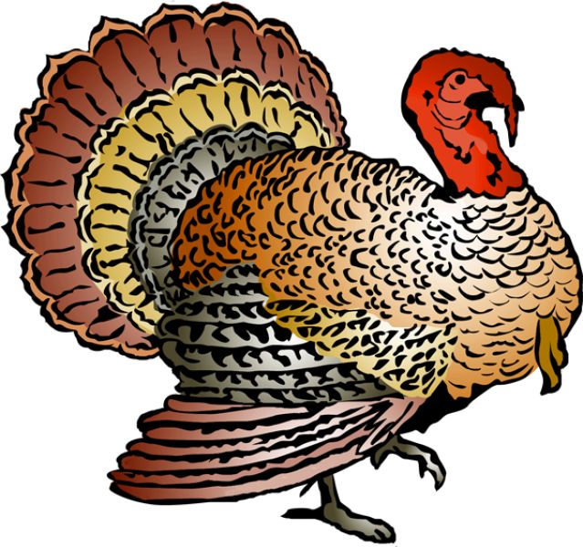 639x600 Wild Turkey Clipart 101 Clip Art
