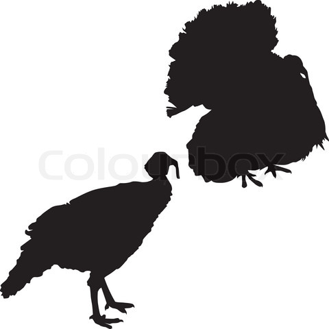 480x480 Wild Turkey Silhouette Clip Art