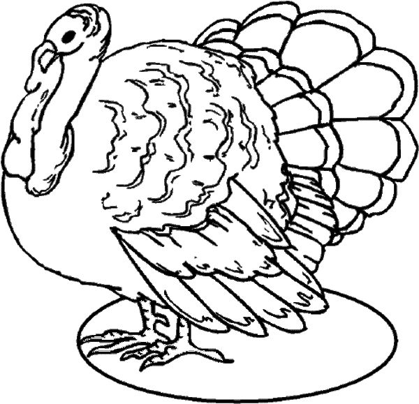 600x579 The Best Turkey Drawing Ideas Easy Turkey