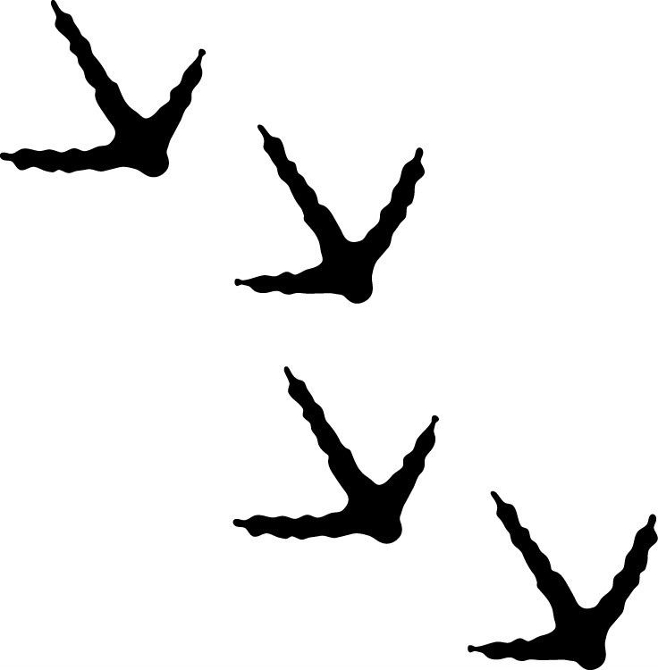 736x750 Top 89 Wild Turkey Clipart