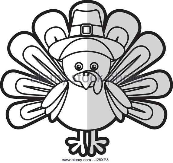 572x540 Turkey Bird Funny Stock Photos Amp Turkey Bird Funny Stock Images