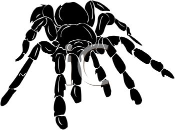 350x261 Arachnid Clipart Spiderman Spider