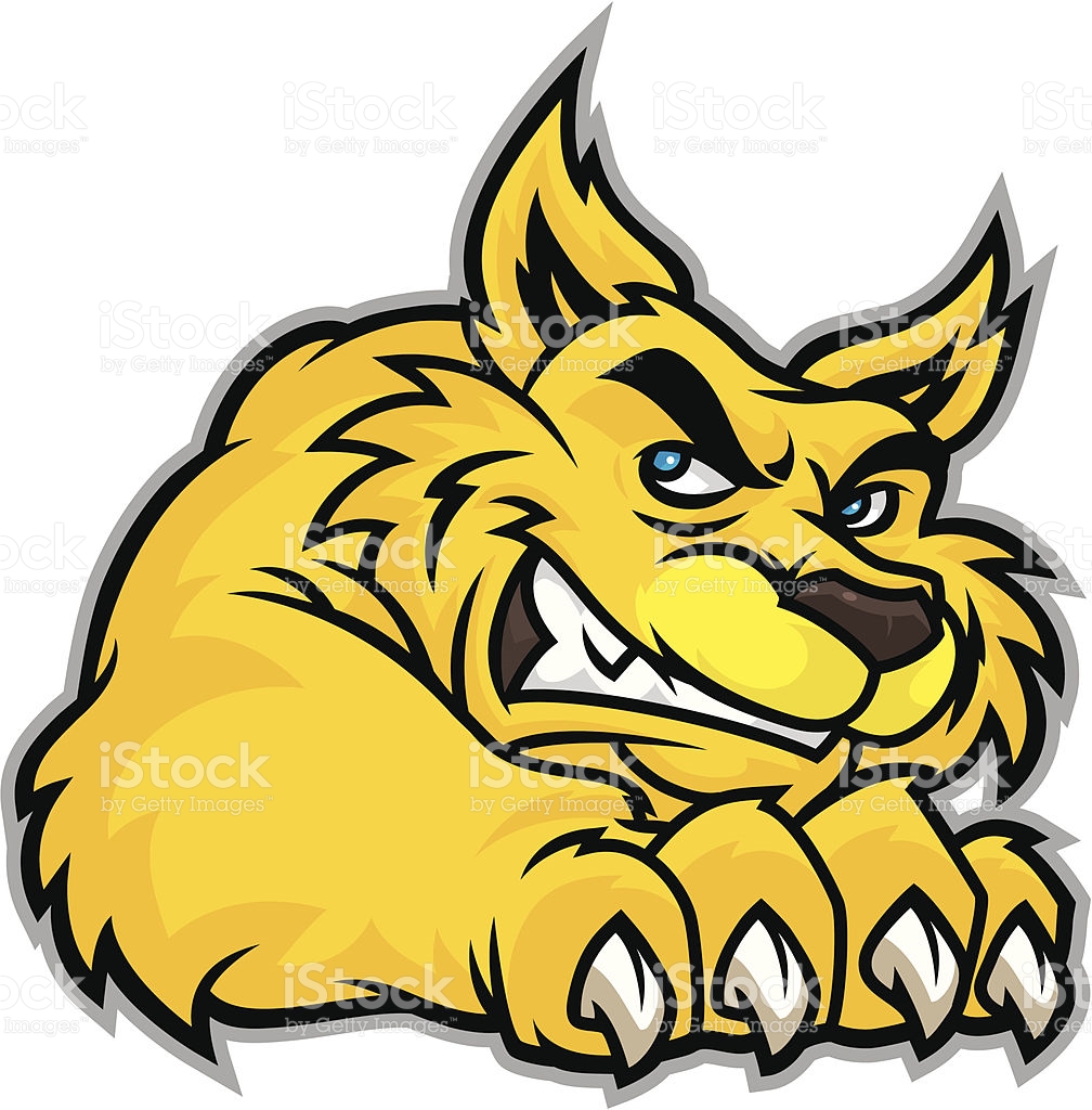 1008x1024 Wildcat Clipart Cat Claw