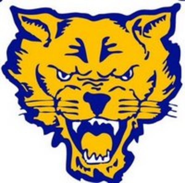 600x594 Fvsu Wildcats Logo Free Images