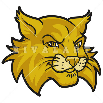361x361 Mascot Clipart Image Of Wildcats Head In Color Wildcat Clipart