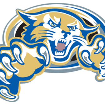 340x340 Wild Animals Free Vector 123freevectors