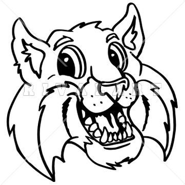 361x361 Bobcat Clipart Wildcat