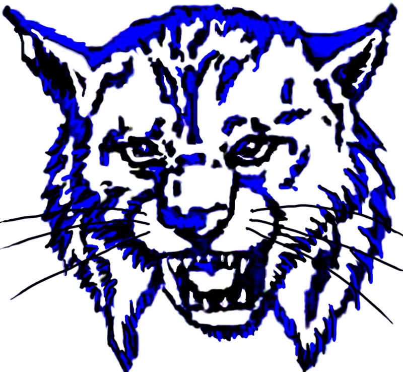 800x738 Wildcat Mascot Clipart
