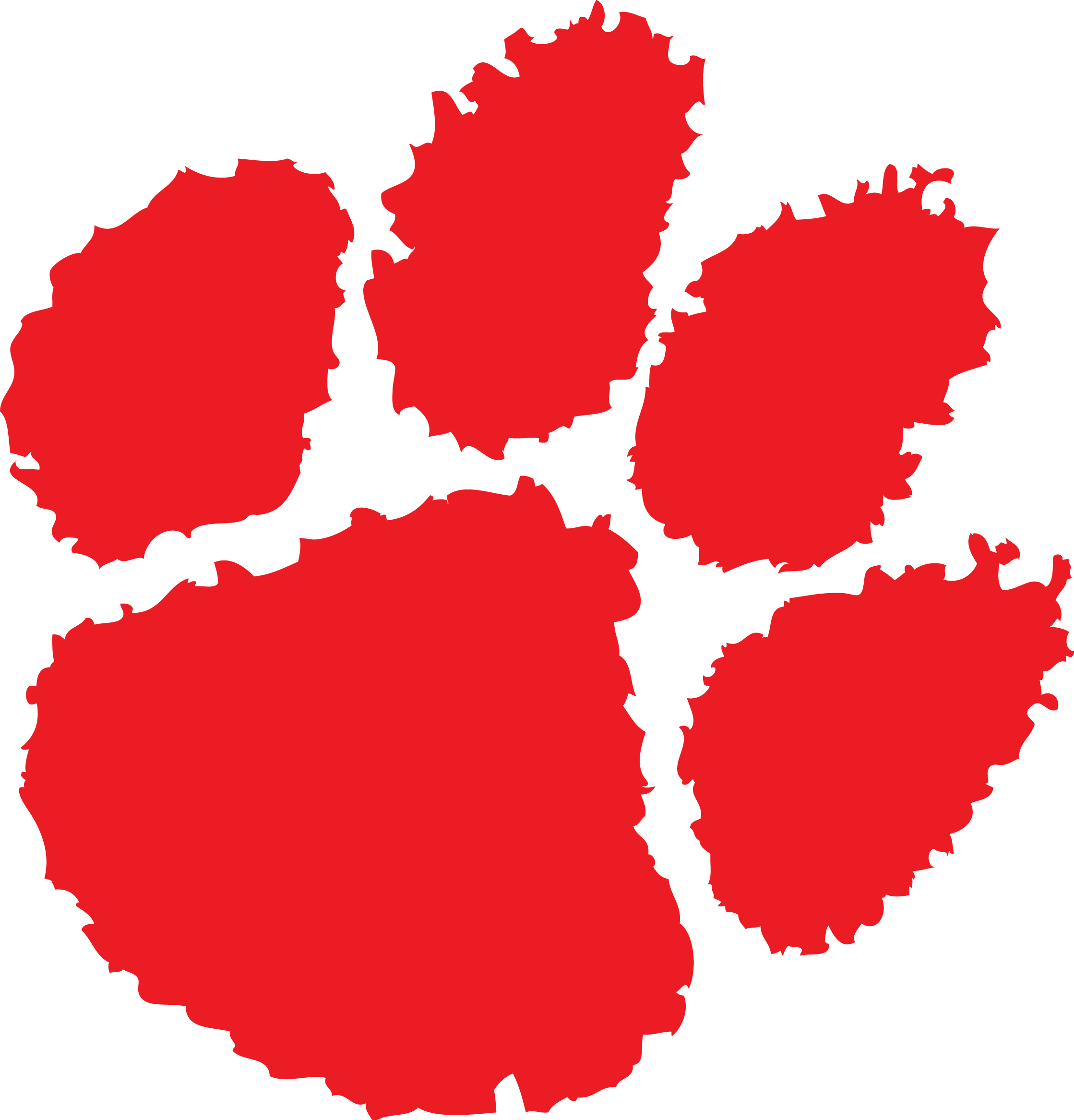 2238x2334 Wildcat Paw