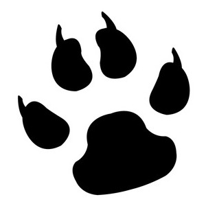 300x300 Paw Print Wildcat Paw Clipart Kid 4