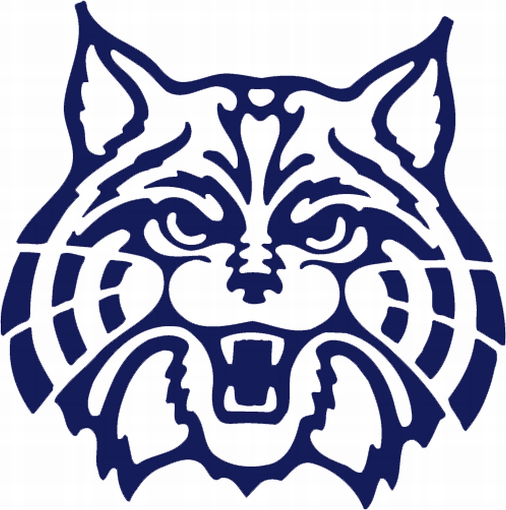 1024x1032 Outline Blue Wildcats Clipart