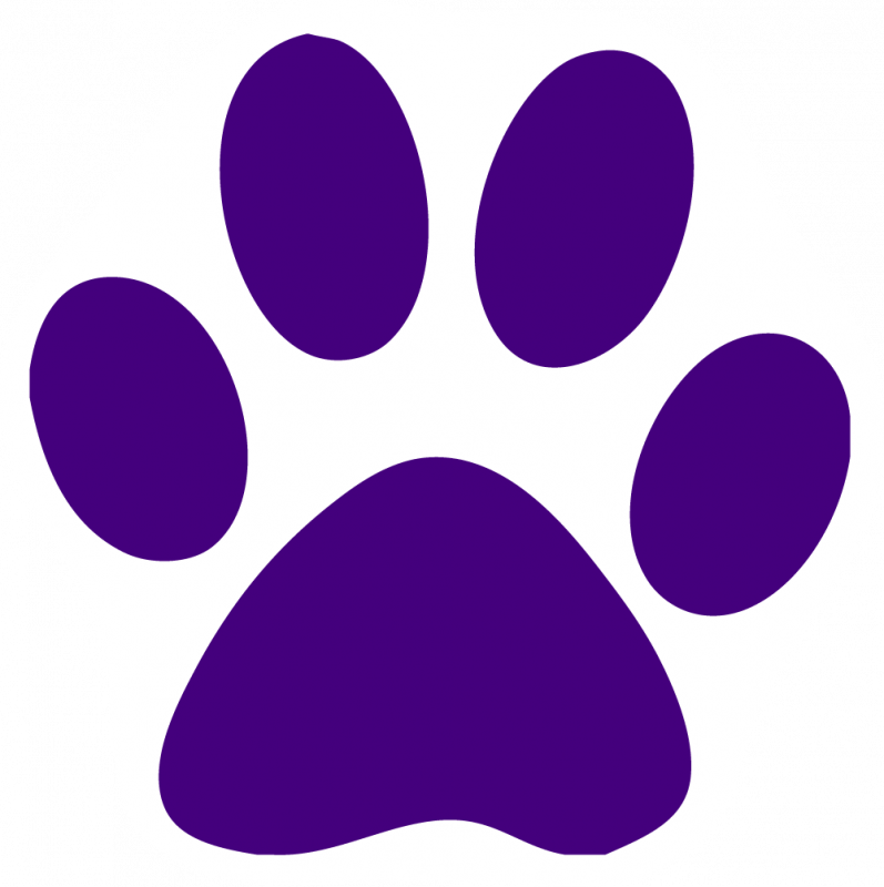 797x800 Purple Clipart Paw Print
