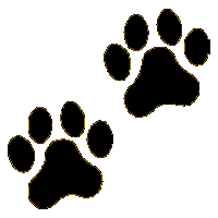 200x200 Tiger Paw Print Clip Art