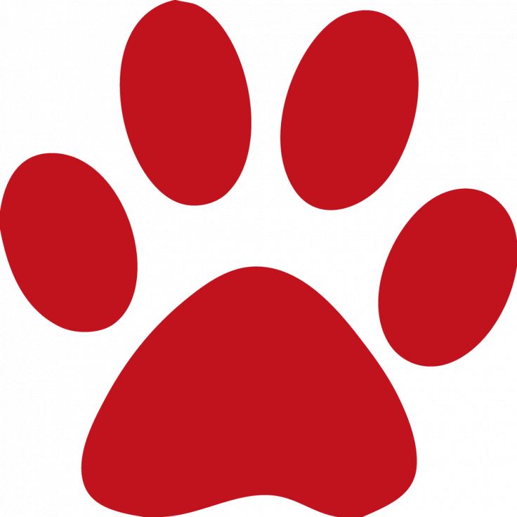 Wildcat Paw Print Clipart | Free download on ClipArtMag