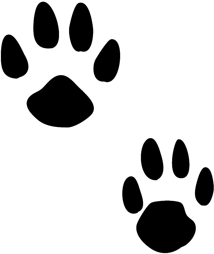 700x831 Paw Prints Clipart 3