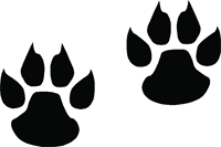 200x133 Little Wildcat Paw Prints Sticker