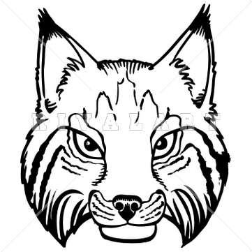 361x361 Top 87 Bobcat Clip Art