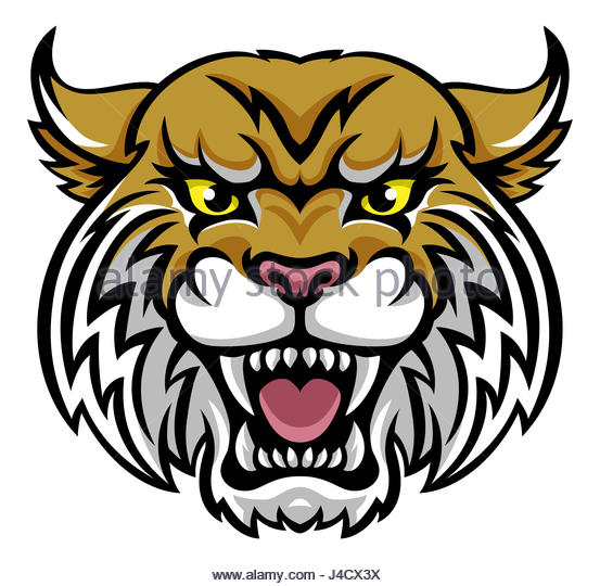 553x540 Wildcat Cut Out Stock Images Amp Pictures