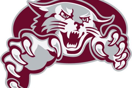 450x300 Wildcat Pride Clip Art