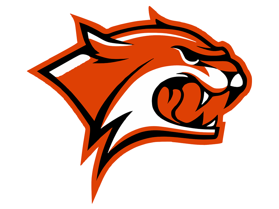 960x720 Wildcat Clipart Red