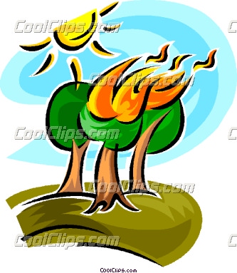 333x383 Fire In Forest Forest Clipart, Explore Pictures