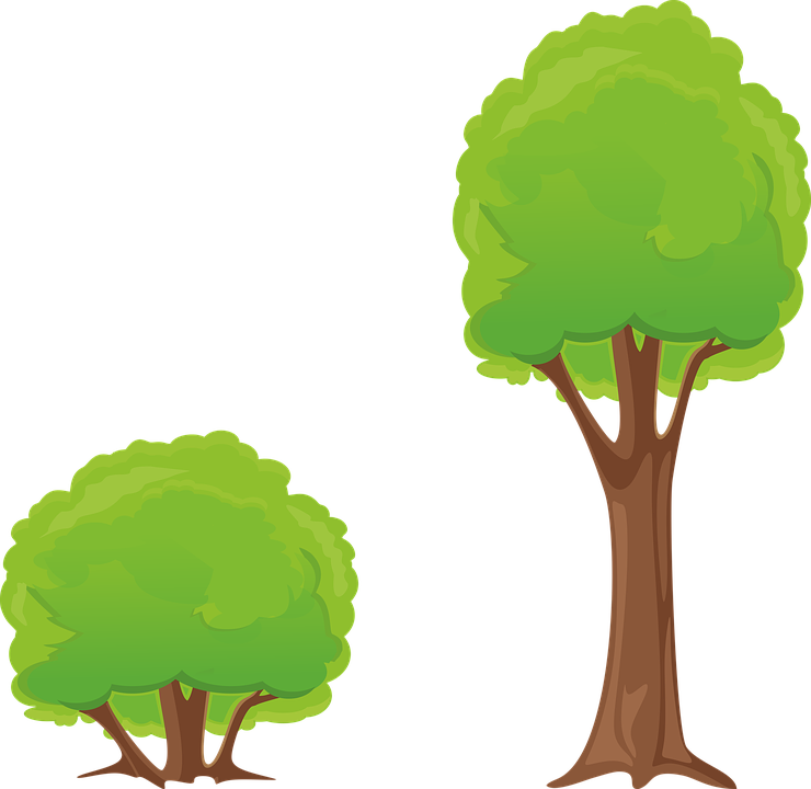 740x720 Bush Clipart Cute Forest Background