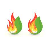 170x170 Clip Art Wildfire