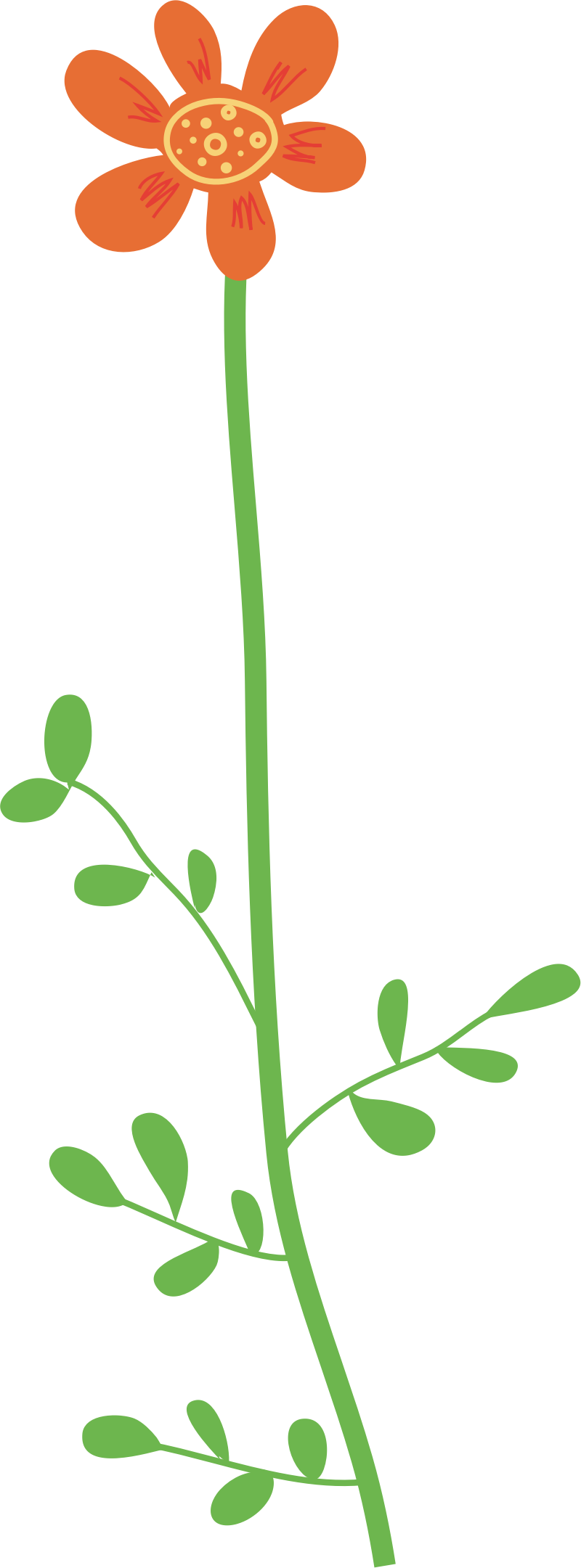 800x2161 Wildflower Clipart Big Flower