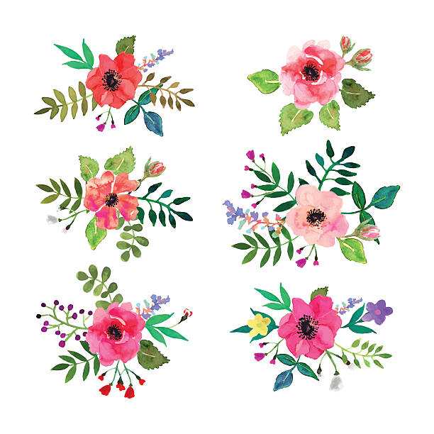 612x612 Wildflower Clipart Floral