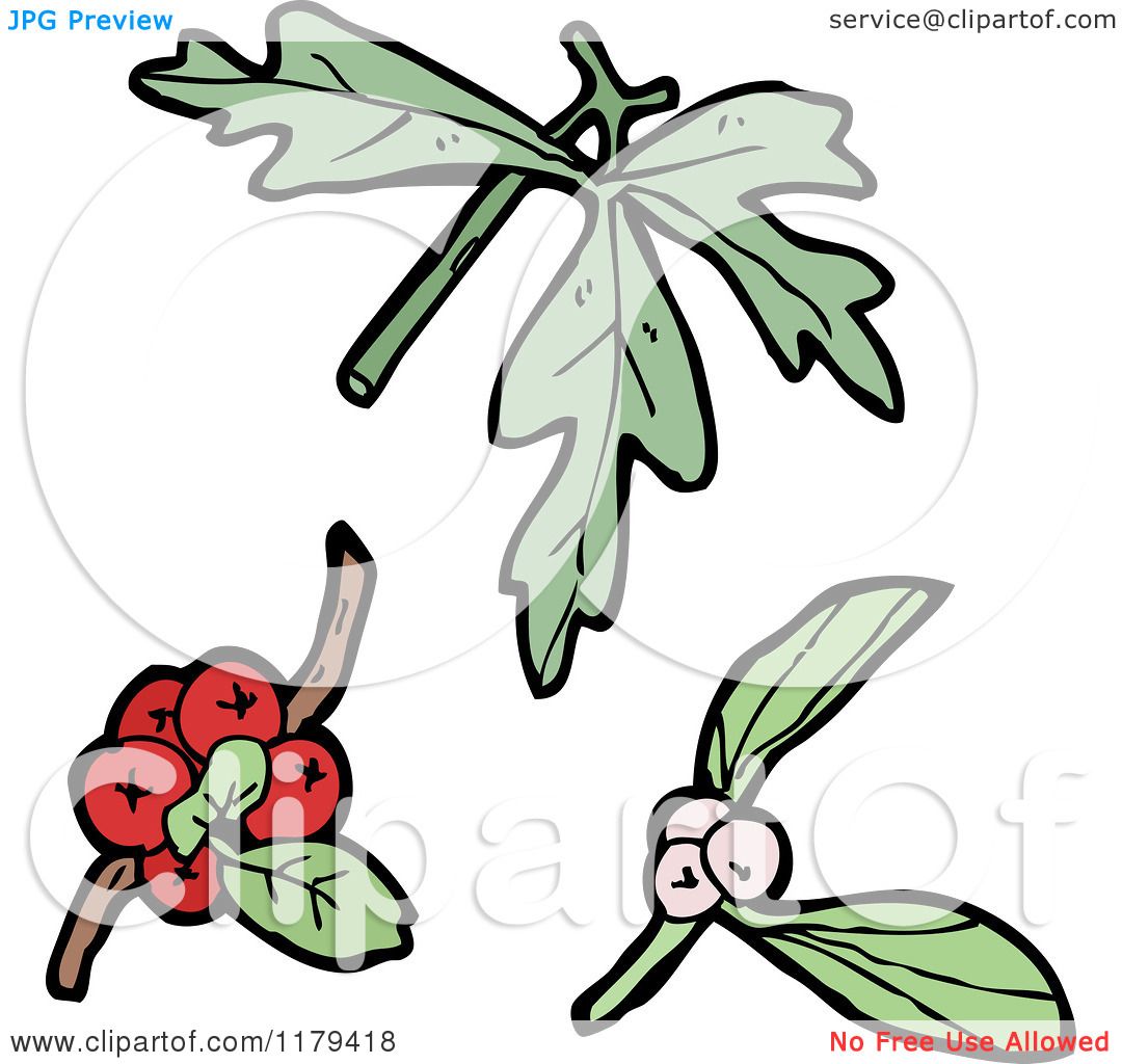 1080x1024 Clip Art Of Wildflowers