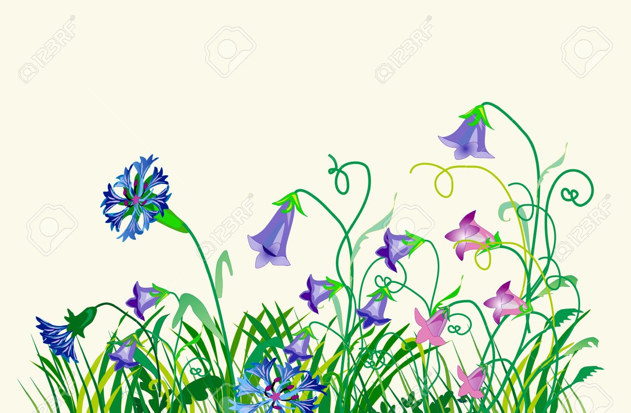1300x851 Meadow Wild Plant Clipart