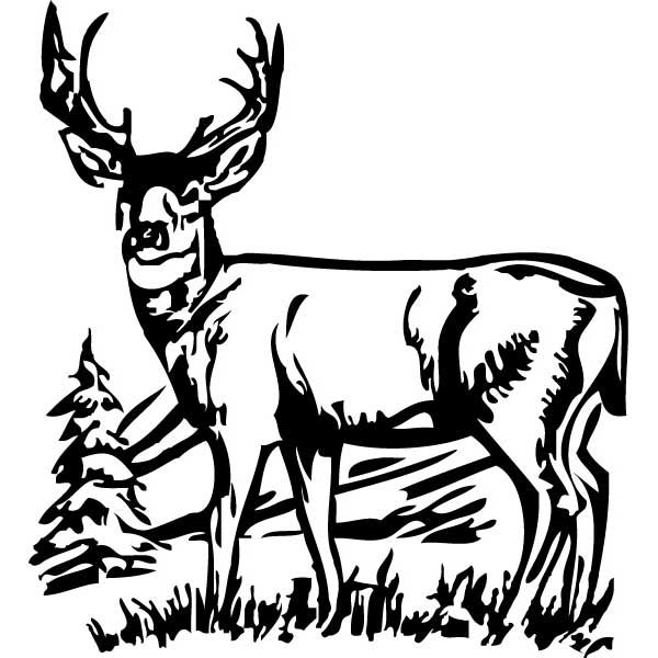 600x600 Wildlife Clipart Hunting And Fishing