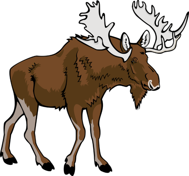640x596 Wildlife Clipart Moose Antler