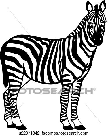 375x470 Clipart Of , Animal, Wild, Zebra, U22071842
