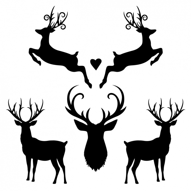 626x626 Horns Clipart Wildlife