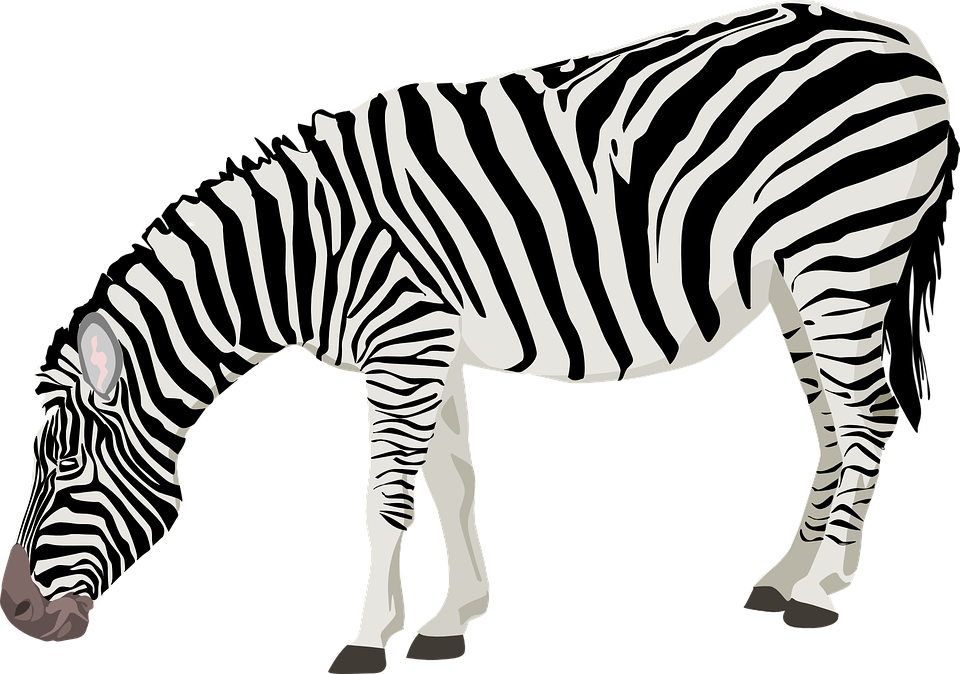 960x674 Wildlife Clipart Mammal