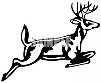 350x288 Buck Clipart Wildlife