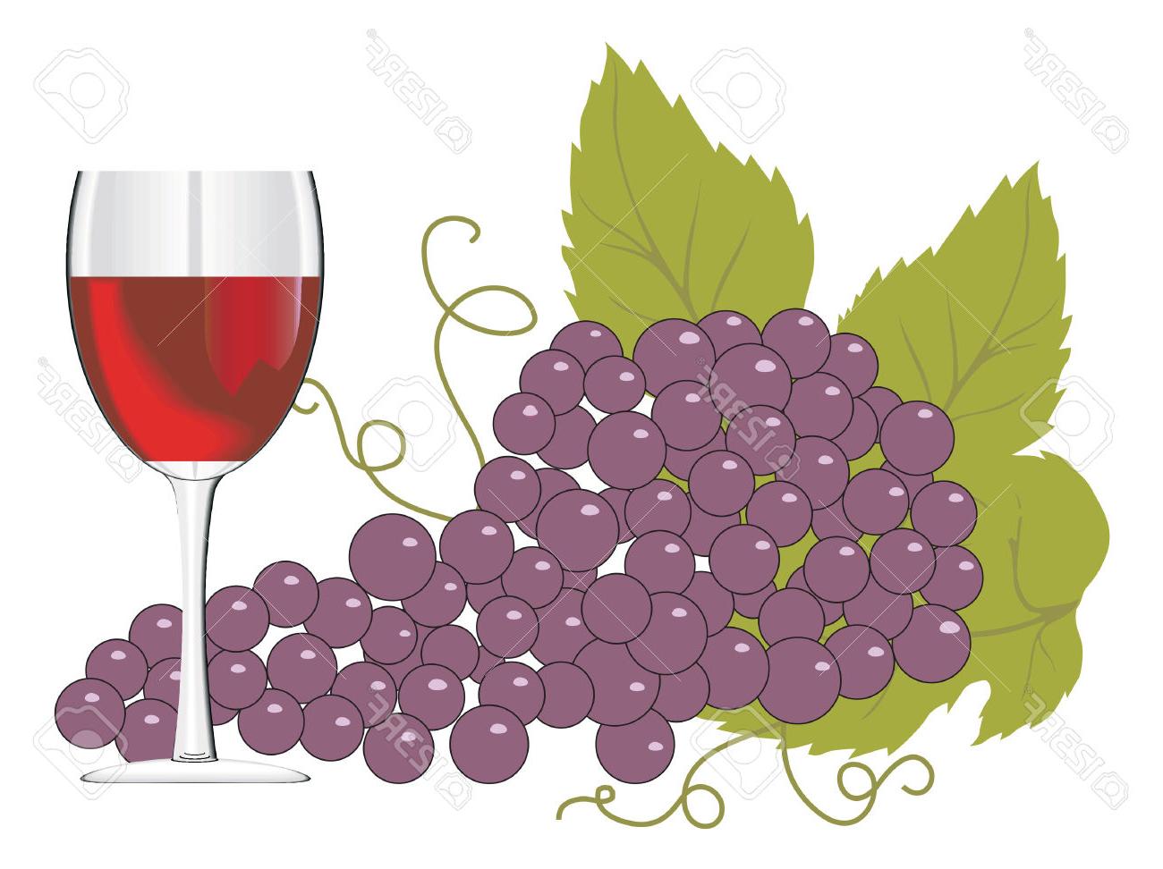 1300x972 Hd Types Of Wine Grapes Vector Design Free Vector Art, Images