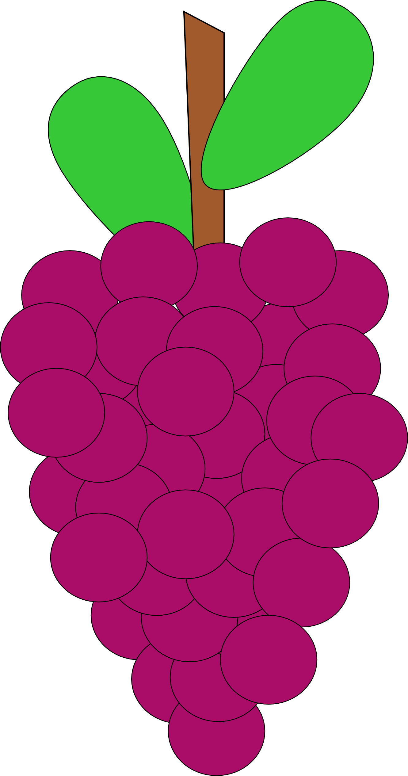 1331x2531 Grapes Clipart Print Clip Art Picture Clipartme