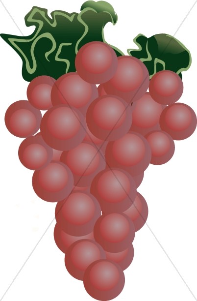 402x612 Grapes Clipart Wine